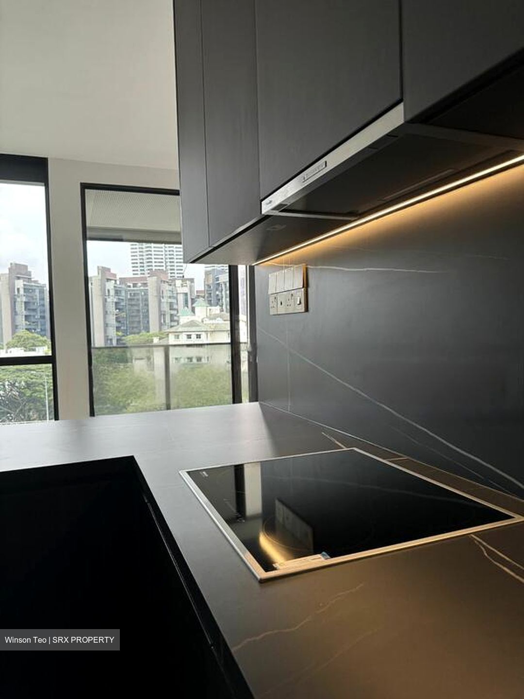 Hyll On Holland (D10), Condominium #459902231